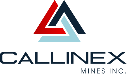 Callinex Logo